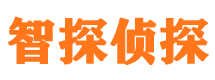 永丰市侦探公司